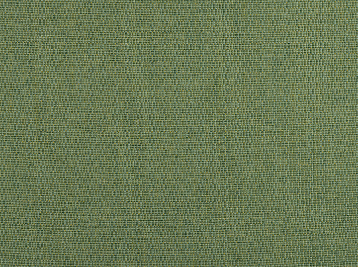 Aiden Seagrass 220 by Covington Fabric 100% POLYPROPYLENE USA 3000 Horizontal: 0 and Vertical: 0 54 - Fabric Carolina -