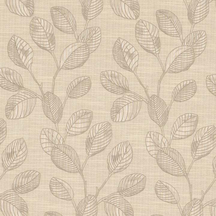 Aimee 2 Champagne by Stout Fabric Stout Fabric Aimee 2 ChampagneFabric COLOR MY WINDOW TOAST/EGGSHELL 61%POL 39%COT INDIA </p><p>Repeat: H: 9.125, V: 18.000 55 in - Fabric Carolina -