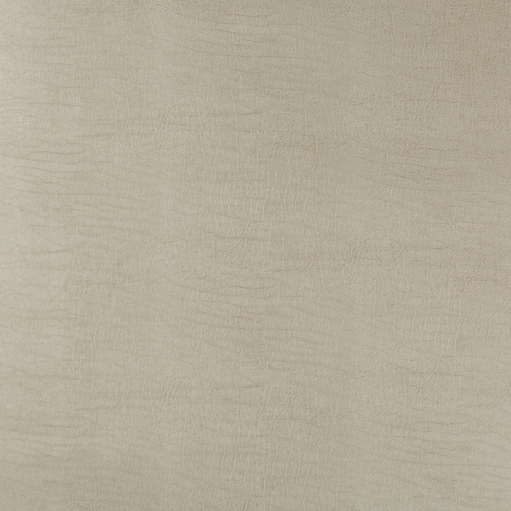 Aladar-11 by Kravet Design Fabric - POLYURETHANE - 50%;SILICONE - 50% China HEAVY Horizontal: 0 and Vertical: 0 54 - Fabric Carolina -
