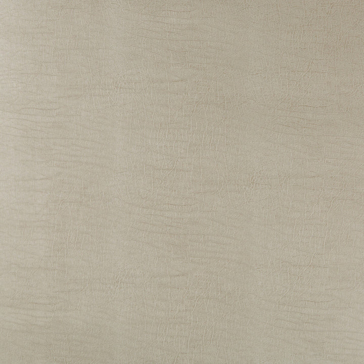 Aladar-11 by Kravet Design Fabric POLYURETHANE - 50%;SILICONE - 50% China HEAVY Horizontal: 0 and Vertical: 0 54 - Fabric Carolina -