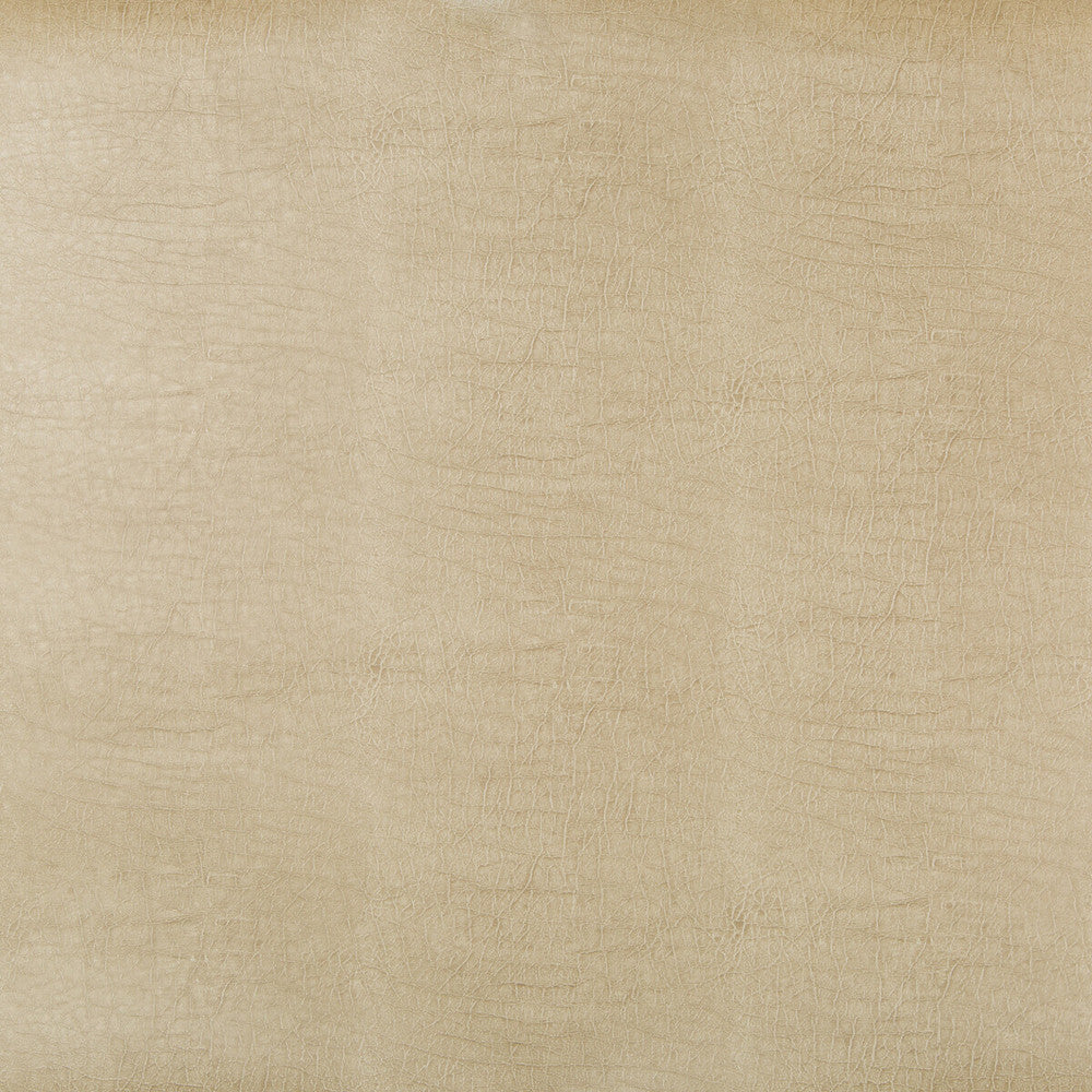 Aladar-16 by Kravet Design Fabric POLYURETHANE - 50%;SILICONE - 50% China HEAVY Horizontal: 0 and Vertical: 0 54 - Fabric Carolina -