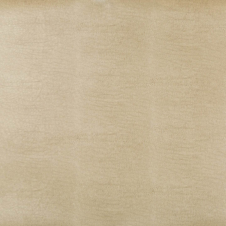 Aladar-16 by Kravet Design Fabric - POLYURETHANE - 50%;SILICONE - 50% China HEAVY Horizontal: 0 and Vertical: 0 54 - Fabric Carolina -