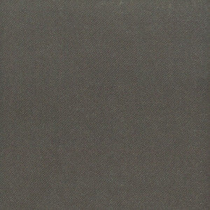 Alaska 2 Charcoal by Insideout Fabric