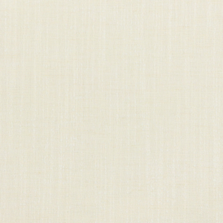 Alberto 2 Ivory by Stout Fabric TEXTURE APPEAL 58%COT 42%POL INDIA Horizontal: 0.000 and Vertical: 0.000 54 in - Fabric Carolina -
