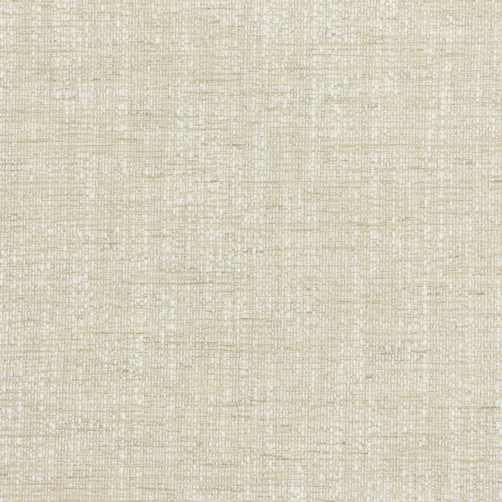 Alberto 3 Birch by Stout Fabric TEXTURE APPEAL 58%COT 42%POL INDIA Horizontal: 0.000 and Vertical: 0.000 54 in - Fabric Carolina -