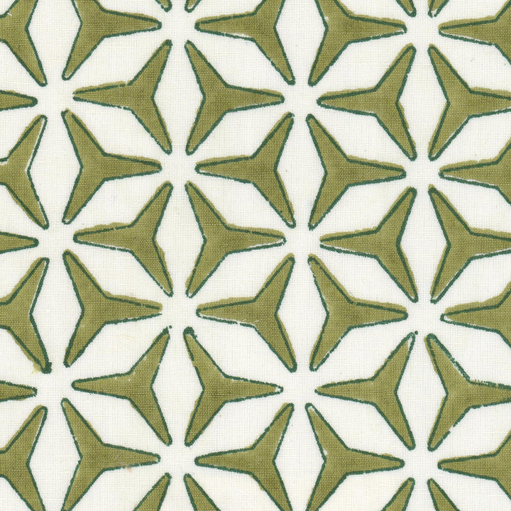 Alden 3 Avocado by Aoc Fabric Aoc Fabric Alden 3 AvocadoFabric The Art Of Color Well Kept Secret 54%Lin 46%Cot India </p><p>Repeat: H: 1.875, V: 15.75 54 in - Fabric Carolina -
