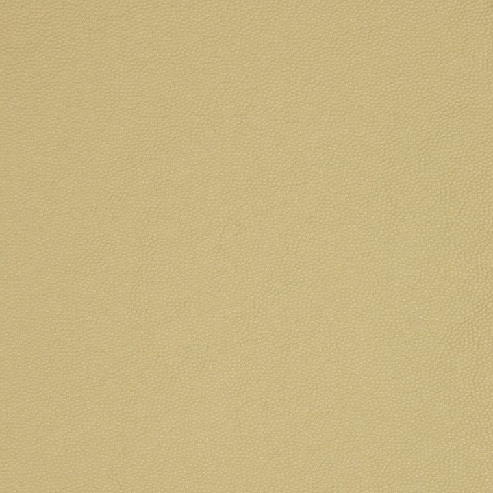 Aldwin-16 by Kravet Smart Designer Fabric PVC - ARTIFICIAL LEATHER - 65%;POLYESTER - 35% United States HEAVY Horizontal: and Vertical: 54 - Swanky Fabrics -