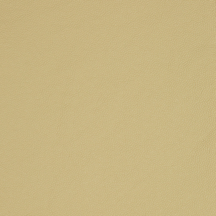 Aldwin-16 by Kravet Smart Fabric - PVC - ARTIFICIAL LEATHER - 65%;POLYESTER - 35% United States HEAVY Horizontal: - and Vertical: - 54 - Fabric Carolina -