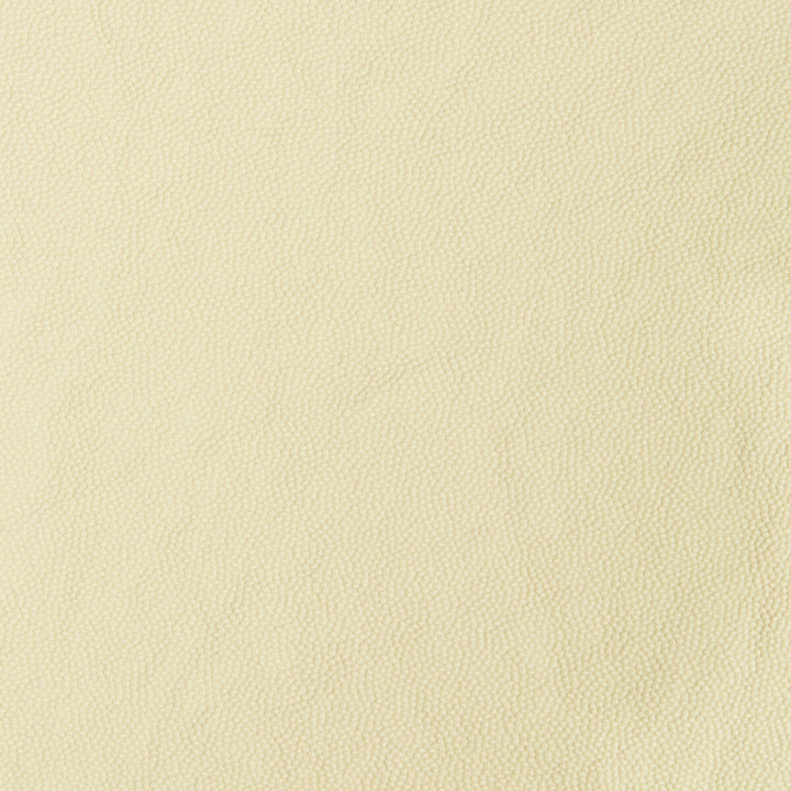 Aldwin-1 by Kravet Smart Fabric PVC - ARTIFICIAL LEATHER - 65%;POLYESTER - 35% United States HEAVY Horizontal: and Vertical: 54 - Fabric Carolina -