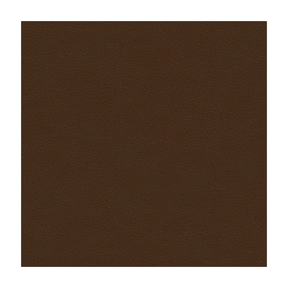 Aldwin-66 by Kravet Smart Fabric PVC - ARTIFICIAL LEATHER - 65%;POLYESTER - 35% United States HEAVY Horizontal: and Vertical: 54 - Fabric Carolina -