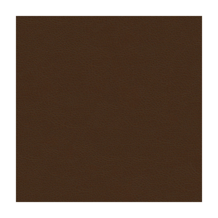 Aldwin-66 by Kravet Smart Fabric PVC - ARTIFICIAL LEATHER - 65%;POLYESTER - 35% United States HEAVY Horizontal: and Vertical: 54 - Fabric Carolina -