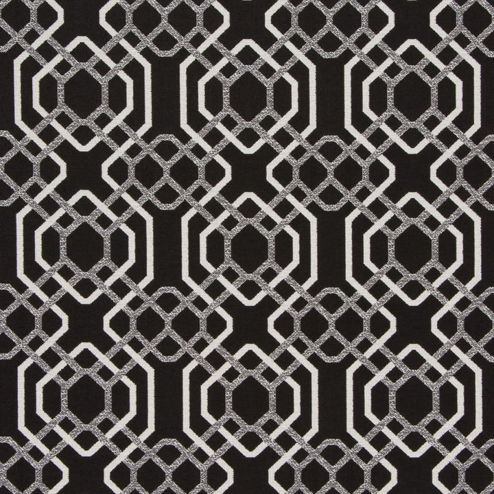 Alexandria Black-White by Bella-Dura Fabric  100% BELLA DURA POLYOLEFIN USA 70000 H: 6.875'' V: 6.75'' 55''  - Fabric Carolina -