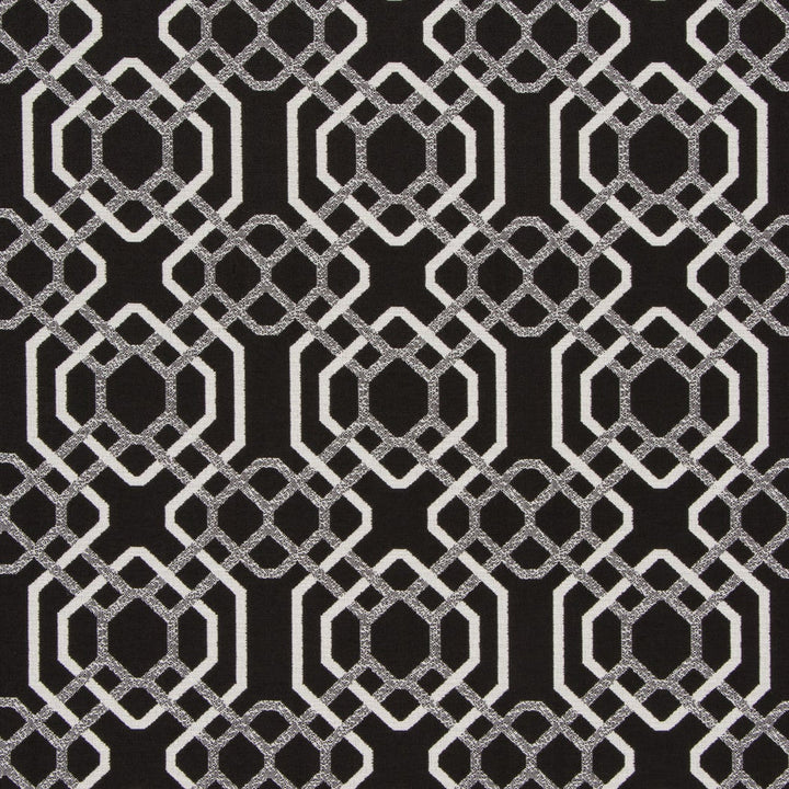 Alexandria Black-White by Bella-Dura Designer Fabric  100% BELLA DURA POLYOLEFIN USA 70000 H: 6.875'' V: 6.75'' 55''  - Swanky Fabrics -