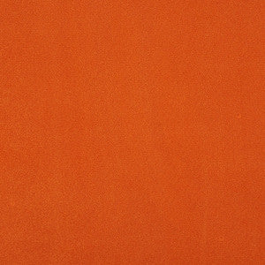 Algonquin 25J7031 by JF Crypton Fabric