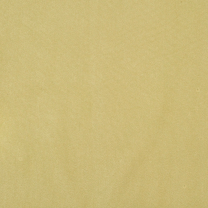 Algonquin 72J7031 by JF Crypton Fabric Crypton Binder 100% Polyester Taiwan 50000 Horizontal: and Vertical: 54 - Fabric Carolina -