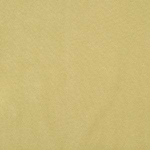 Algonquin 72J7031 by JF Crypton Fabric