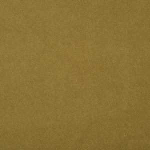 Algonquin 77J7031 by JF Crypton Fabric