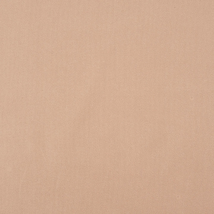 Algonquin 91J7031 by JF Crypton Fabric Crypton Binder 100% Polyester Taiwan 50000 Horizontal: and Vertical: 54 - Fabric Carolina -