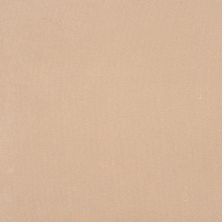 Algonquin 92J7031 by JF Crypton Fabric Crypton Binder 100% Polyester Taiwan 50000 Horizontal: and Vertical: 54 - Fabric Carolina -