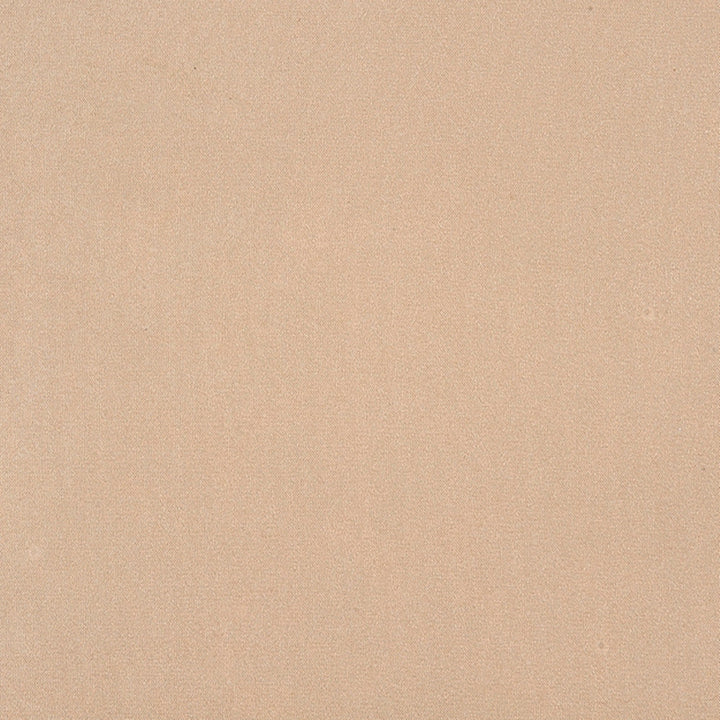 Algonquin 92J7031 by JF Crypton Designer Fabric Crypton Binder 100% Polyester Taiwan 50000 Horizontal: and Vertical: 54 - Swanky Fabrics -