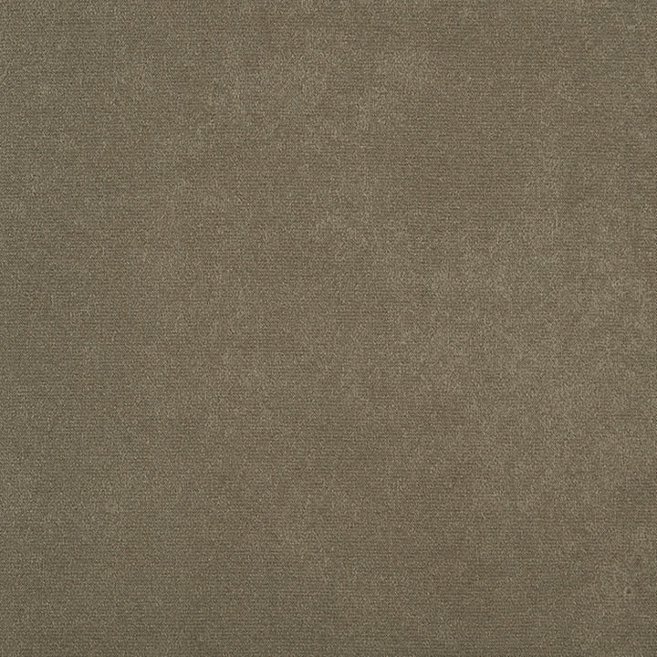 Algonquin 96J7031 by JF Crypton Fabric Crypton Binder 100% Polyester Taiwan 50000 Horizontal: and Vertical: 54 - Fabric Carolina -