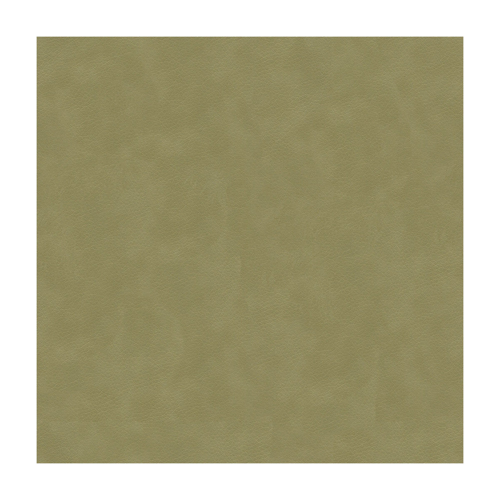 Alina-1121 by Kravet Smart Fabric - POLYURETHANE - 100% China HEAVY Horizontal: - and Vertical: - 55 - Fabric Carolina -