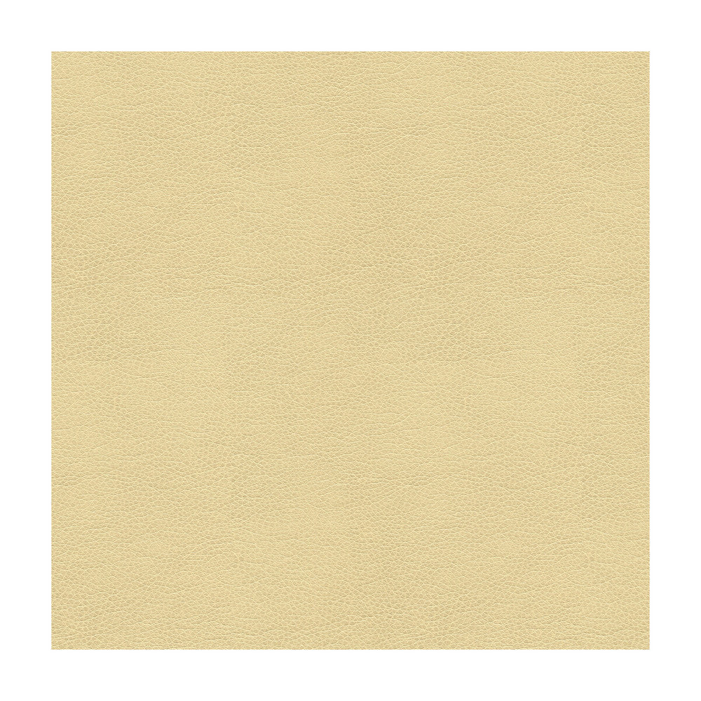 Alina-116 by Kravet Smart Designer Fabric POLYURETHANE - 100% China HEAVY Horizontal: and Vertical: 55 - Swanky Fabrics -