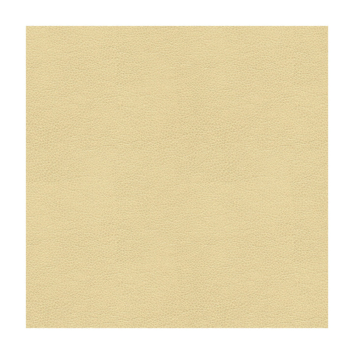 Alina-116 by Kravet Smart Designer Fabric POLYURETHANE - 100% China HEAVY Horizontal: and Vertical: 55 - Swanky Fabrics -