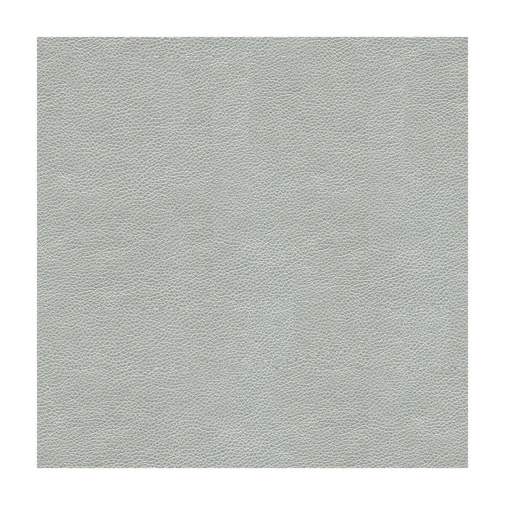 Alina-11 by Kravet Smart Fabric POLYURETHANE - 100% China HEAVY Horizontal: and Vertical: 55 - Fabric Carolina -