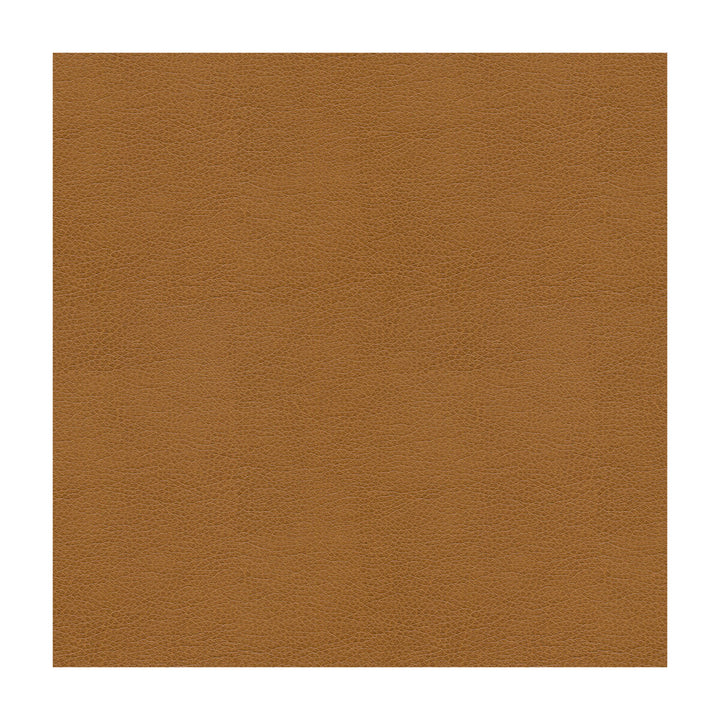 Alina-16 by Kravet Smart Fabric - POLYURETHANE - 100% China HEAVY Horizontal: - and Vertical: - 55 - Fabric Carolina -