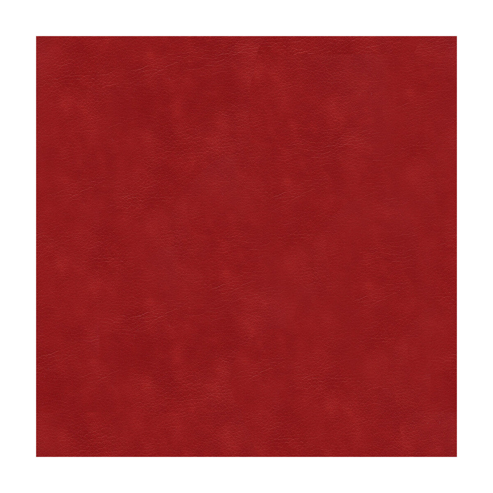Alina-19 by Kravet Smart Fabric - POLYURETHANE - 100% China HEAVY Horizontal: - and Vertical: - 55 - Fabric Carolina -