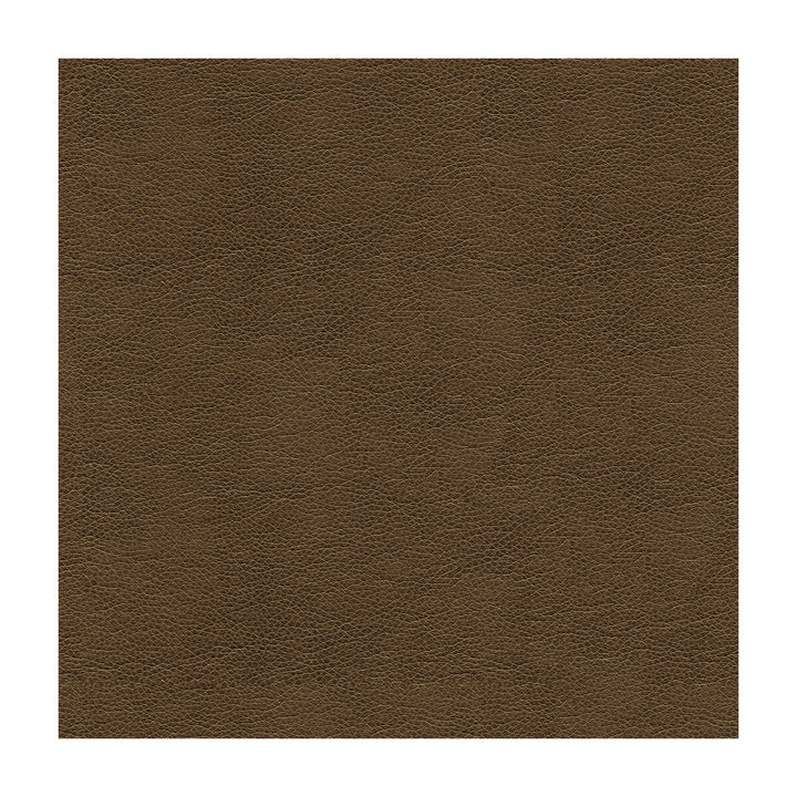 Alina-2121 by Kravet Smart Fabric POLYURETHANE - 100% China HEAVY Horizontal: and Vertical: 55 - Fabric Carolina -