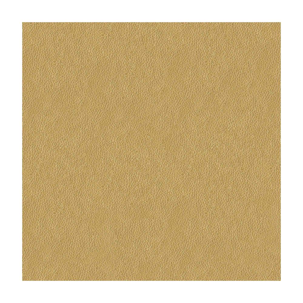Alina-4 by Kravet Smart Fabric POLYURETHANE - 100% China HEAVY Horizontal: and Vertical: 55 - Fabric Carolina -
