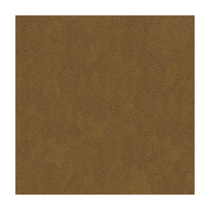 Alina-616 by Kravet Smart Fabric POLYURETHANE - 100% China HEAVY Horizontal: and Vertical: 55 - Fabric Carolina -