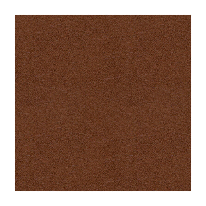 Alina-6 by Kravet Smart Designer Fabric POLYURETHANE - 100% China HEAVY Horizontal: and Vertical: 55 - Swanky Fabrics -