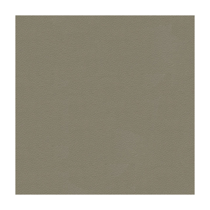 Ali-11 by Kravet Design Fabric ULTRALEATHER PLUS IV POLYURETHANE - 100% Japan HEAVY Horizontal: and Vertical: 54 - Fabric Carolina -