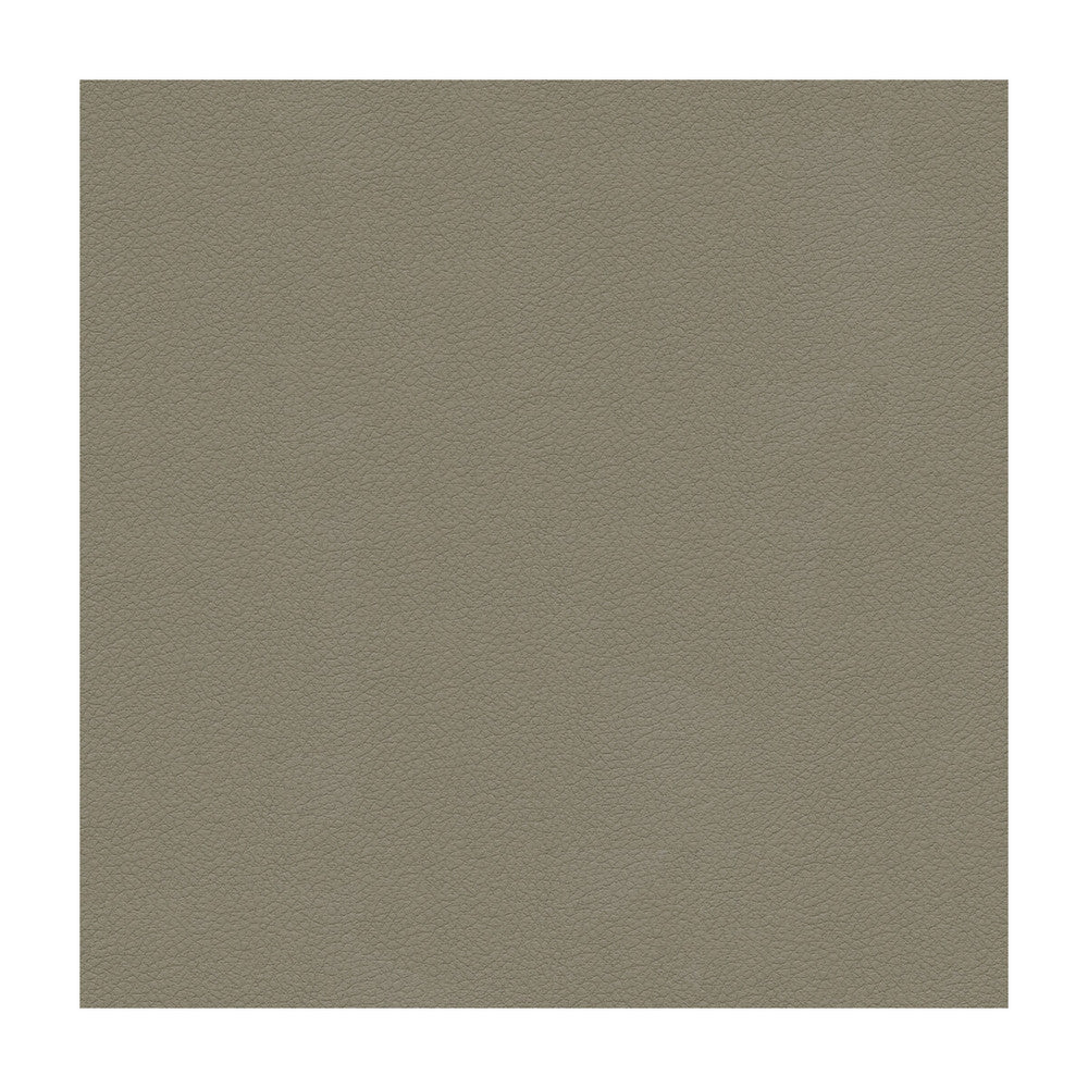 Ali-11 by Kravet Design Fabric ULTRALEATHER PLUS IV POLYURETHANE - 100% Japan HEAVY Horizontal: - and Vertical: - 54 - Fabric Carolina -