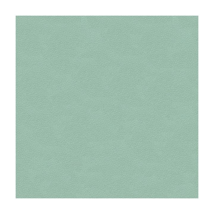Ali-15 by Kravet Design Fabric ULTRALEATHER PLUS IV POLYURETHANE - 100% Japan HEAVY Horizontal: - and Vertical: - 54 - Fabric Carolina -
