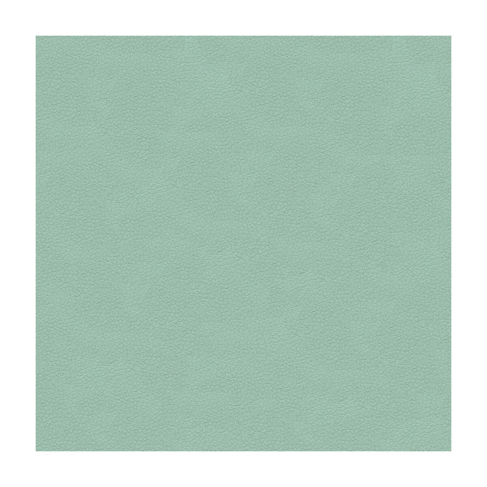 Ali-15 by Kravet Design Fabric ULTRALEATHER PLUS IV POLYURETHANE - 100% Japan HEAVY Horizontal: and Vertical: 54 - Fabric Carolina -