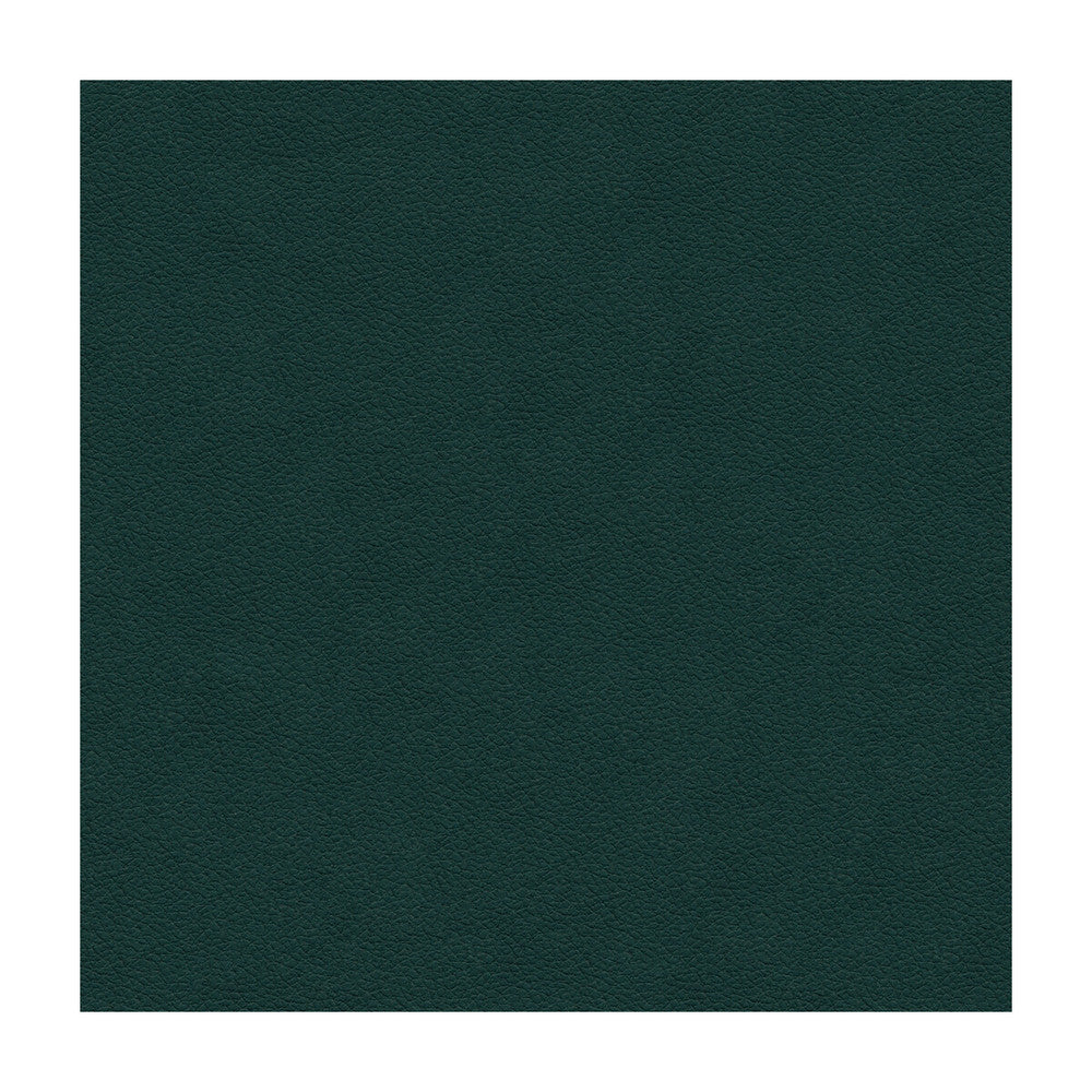 Ali-53 by Kravet Design Fabric ULTRALEATHER PLUS IV POLYURETHANE - 100% Japan HEAVY Horizontal: and Vertical: 54 - Fabric Carolina -