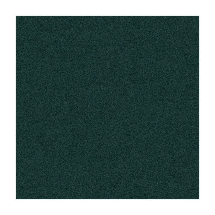 Ali-53 by Kravet Design Fabric ULTRALEATHER PLUS IV POLYURETHANE - 100% Japan HEAVY Horizontal: and Vertical: 54 - Fabric Carolina -