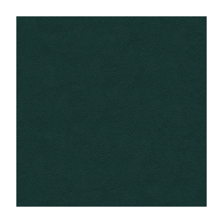 Kravet Design Ali-53 by Kravet Design Fabric Kravet Design Fabric Kravet Design Ali-53Fabric ULTRALEATHER PLUS IV POLYURETHANE - 100% Japan </p><p>Repeat: H: , V: 54 - Fabric Carolina -