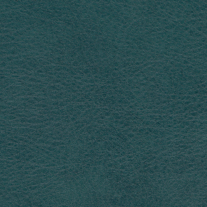 Allegro ALG 7062 Shadow Green by Softside Fabric N/A 100% Polyvinyl Chloride (PVC) Costa Rica 50,000 Double Rubs </p><p>Repeat: Horizontal: and Vertical: 54" (137 cm) - Fabric Carolina -