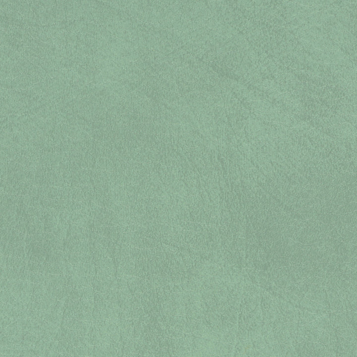 Allegro ALG 7063 Sage Green by Softside Fabric N/A 100% Polyvinyl Chloride (PVC) Costa Rica 50,000 Double Rubs </p><p>Repeat: Horizontal: and Vertical: 54" (137 cm) - Fabric Carolina -