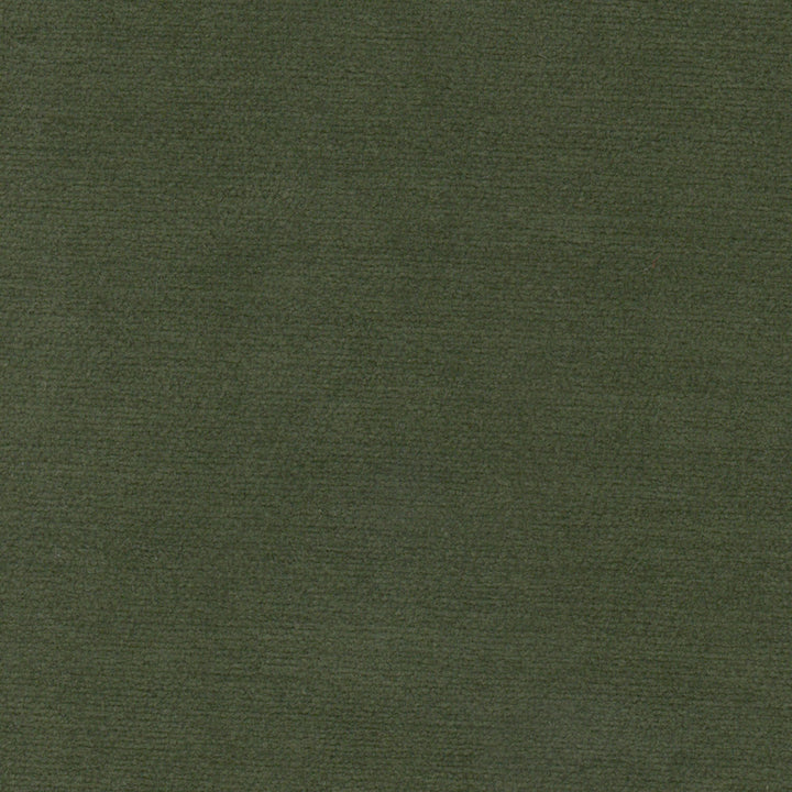 Alloy 1 Avocado by Stout Fabric Stout Fabric Alloy 1 AvocadoFabric Living Is Easy Balsam/Bay 100%Pol China </p><p>Repeat: H: 0, V: 0 54 in - Fabric Carolina -
