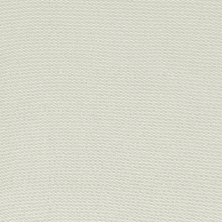 Almeria Bone by Europatex Fabric Almeria 100% Solution dyed acylic China Horizontal: N/A and Vertical: N/A 55" - Fabric Carolina -