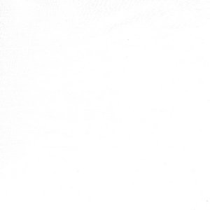 Almura Snow by Norbar Fabric See Sample - INDIA - </p><p>Repeat: Horizontal: - and Vertical: - 54 - Fabric Carolina -