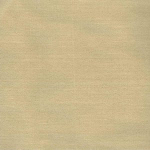 Almura Toast by Norbar Fabric See Sample - INDIA - </p><p>Repeat: Horizontal: - and Vertical: - 54 - Fabric Carolina -