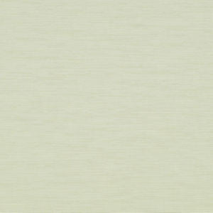 Alpine Sesame 043 by Norbar Fabric ALPINE 70% COTTON - 30% POLYESTER INDIA 57 - Fabric Carolina -
