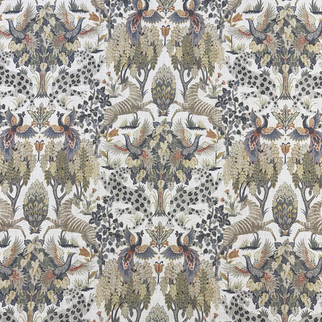 Alsop Multi